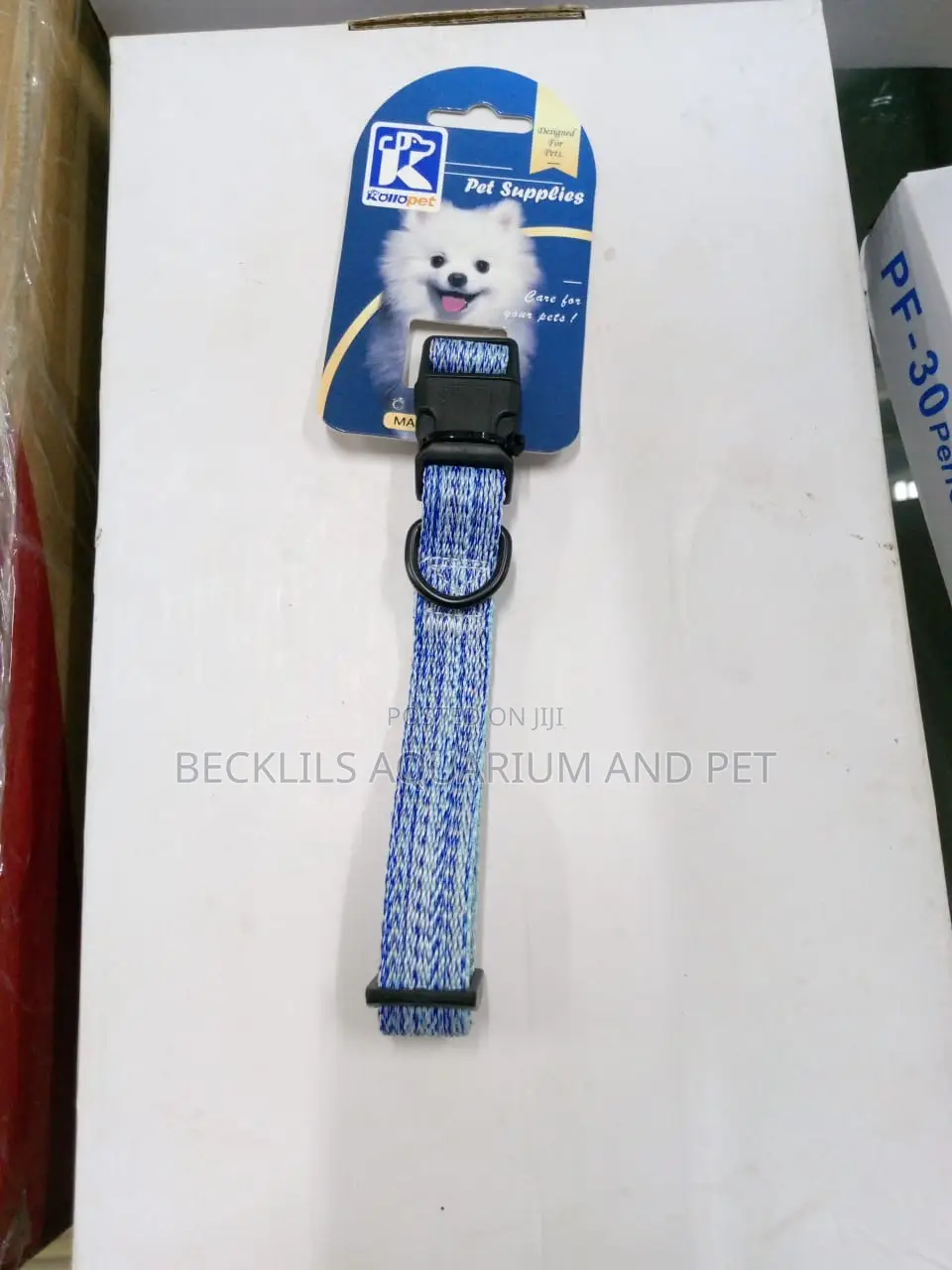 Dog Collars Available For All Types Of Dog