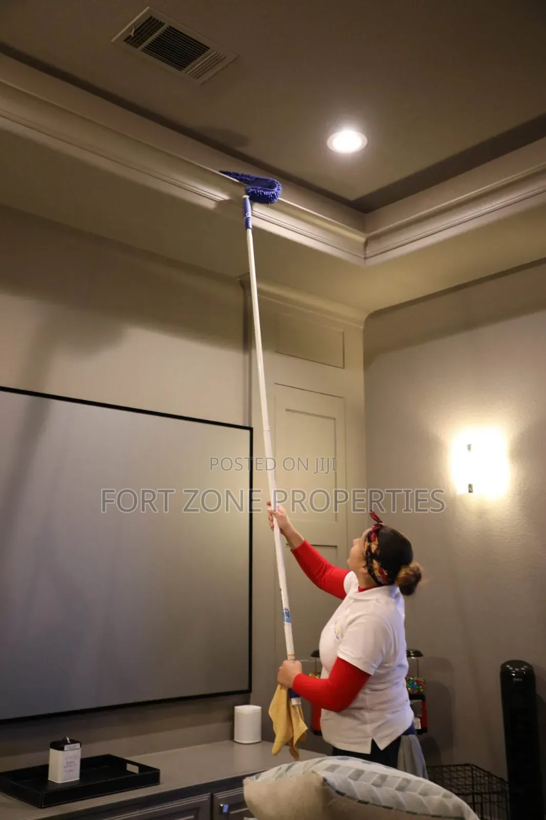 Clean House With Cleantex