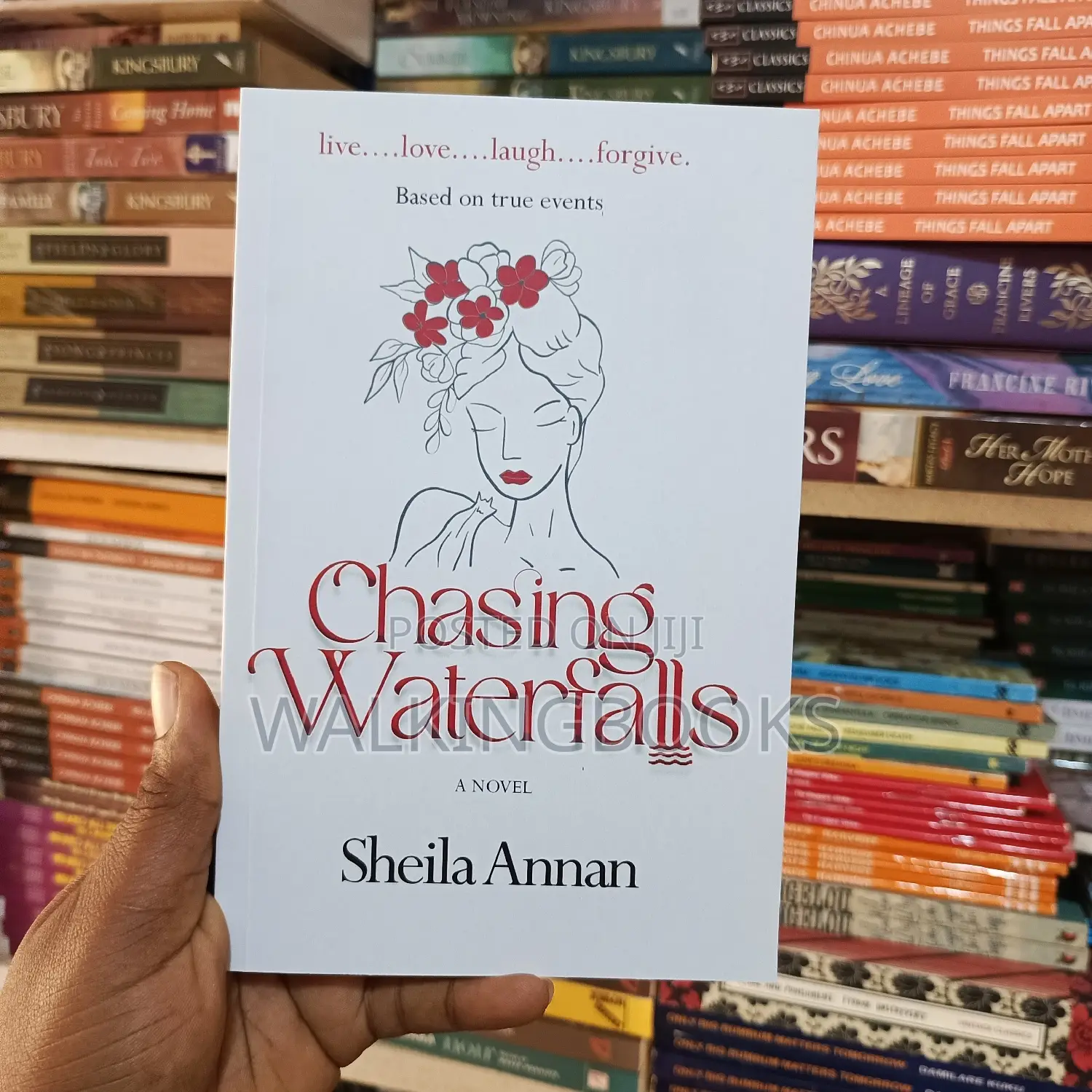 Chasing Waterfalls, African Novel
