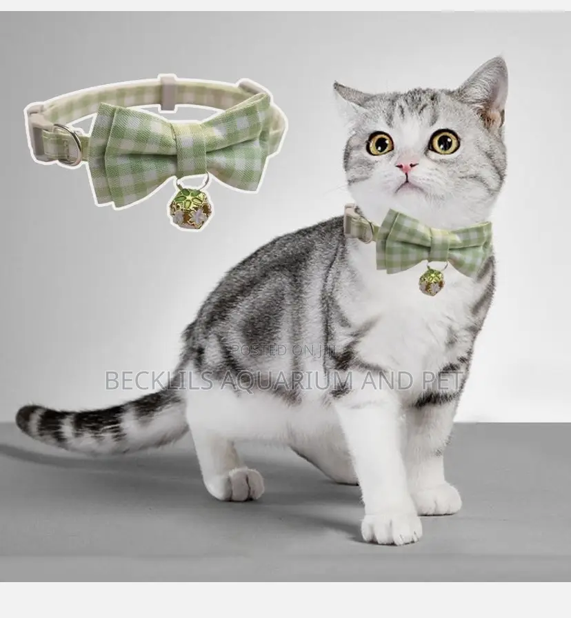 Adjustable Neck Collars for Cat