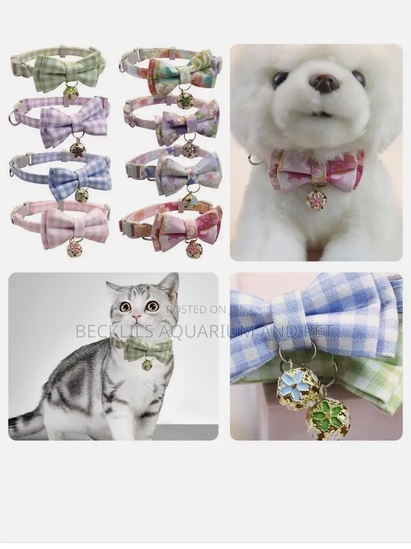 Adjustable Neck Collars Available for Cat and Dogs