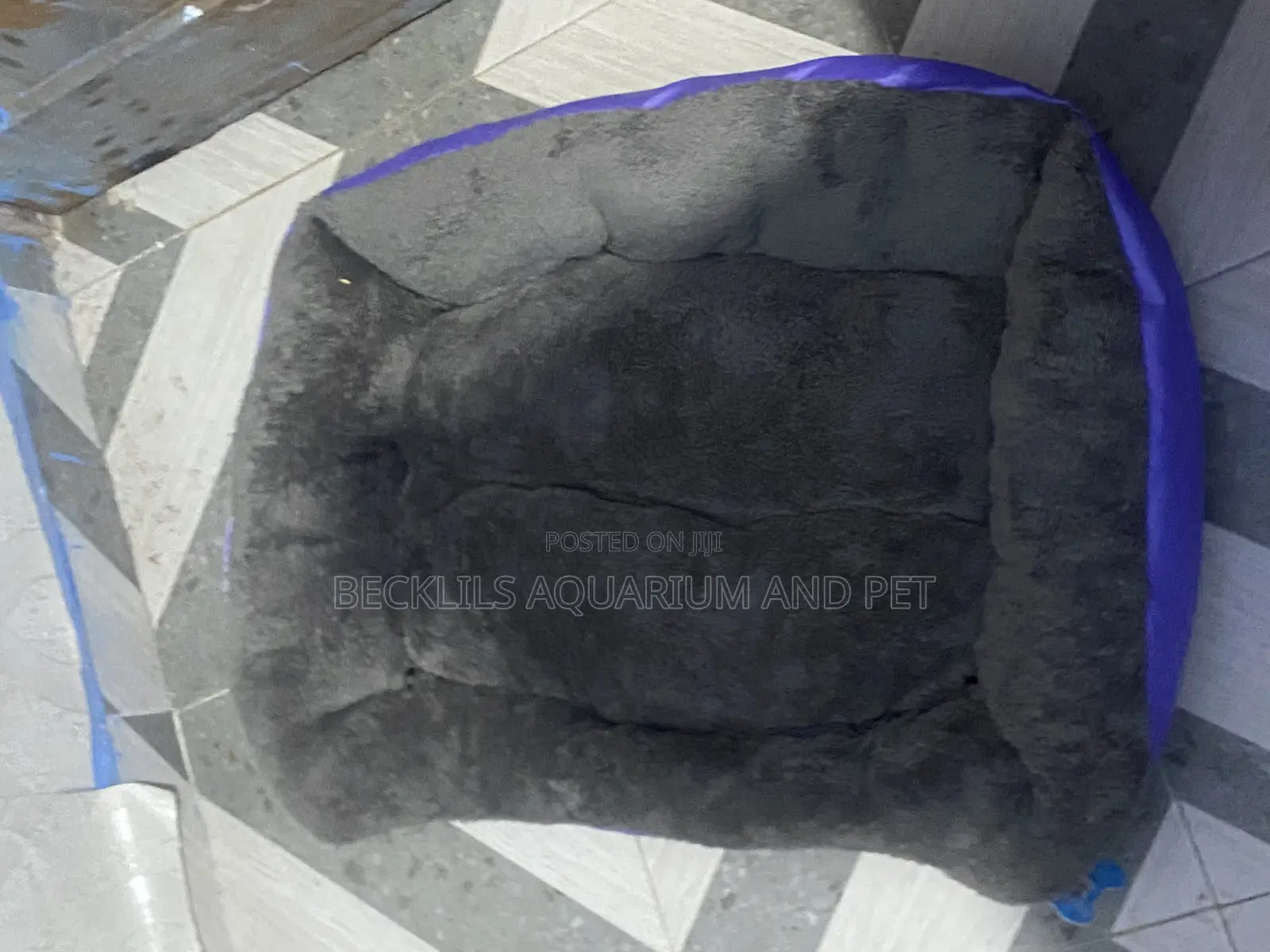 Quality Bed for Cats