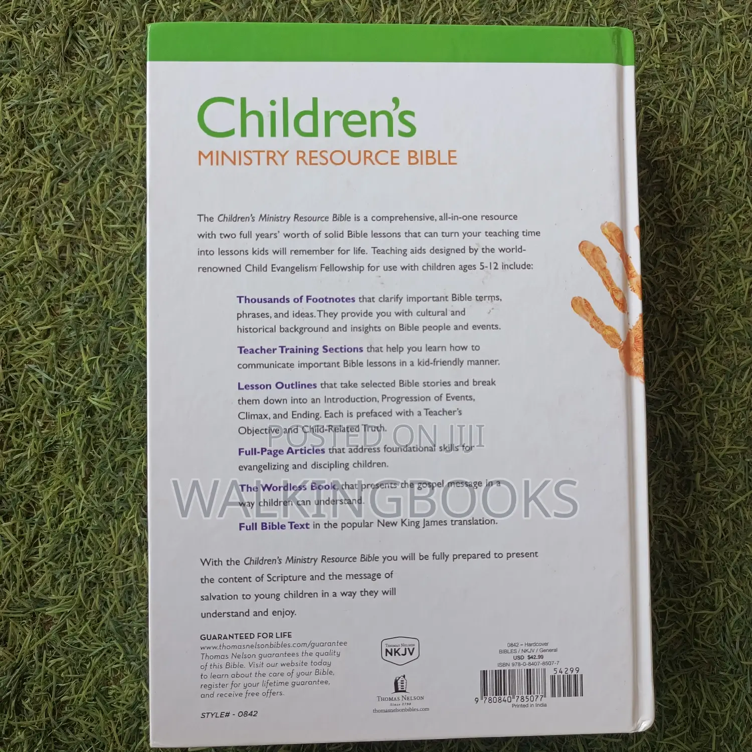 Children's Ministry Resource Bible