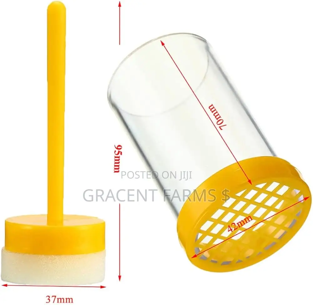 Queen Bee Marking Cage