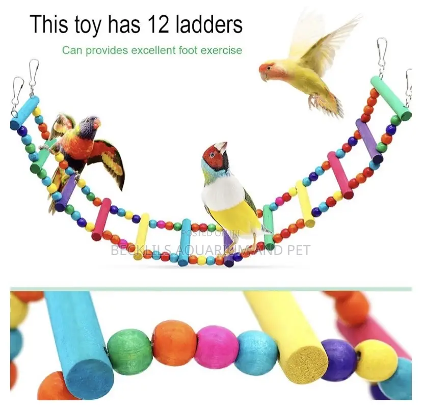 Parrot Play Toys