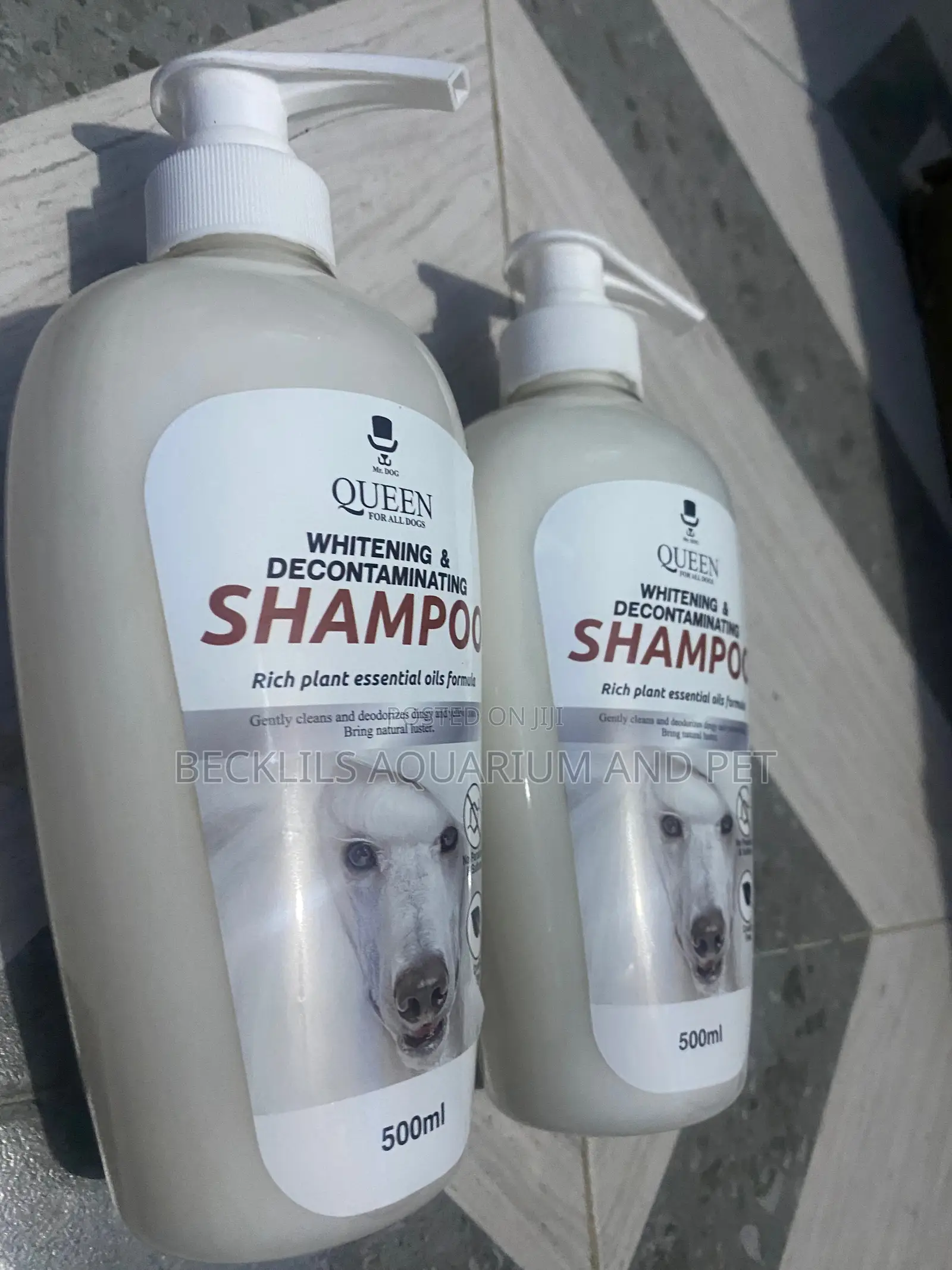 Queens Whitening Shampoo