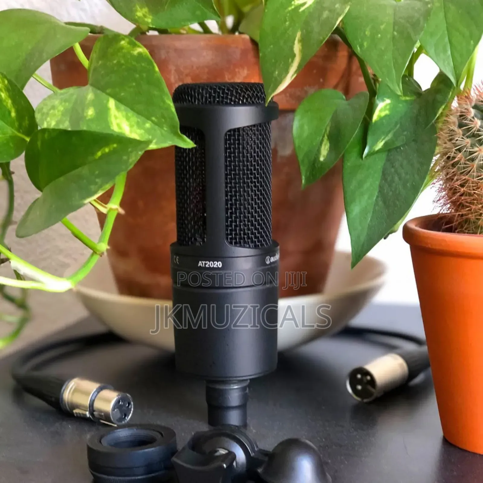 Studio Microphone, Audio-Technica AT2020