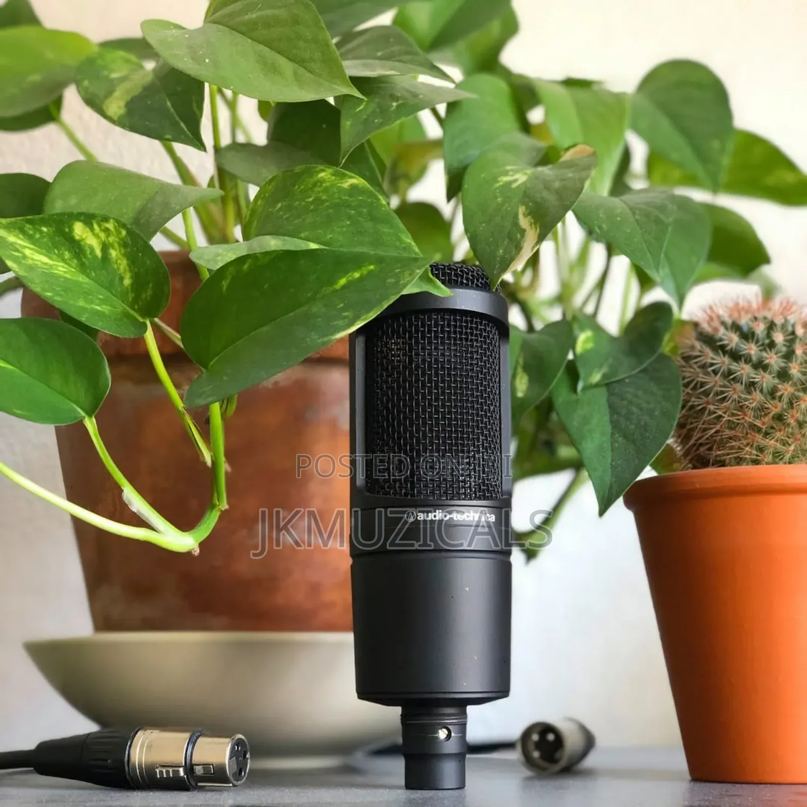 Studio Microphone, Audio-Technica AT2020