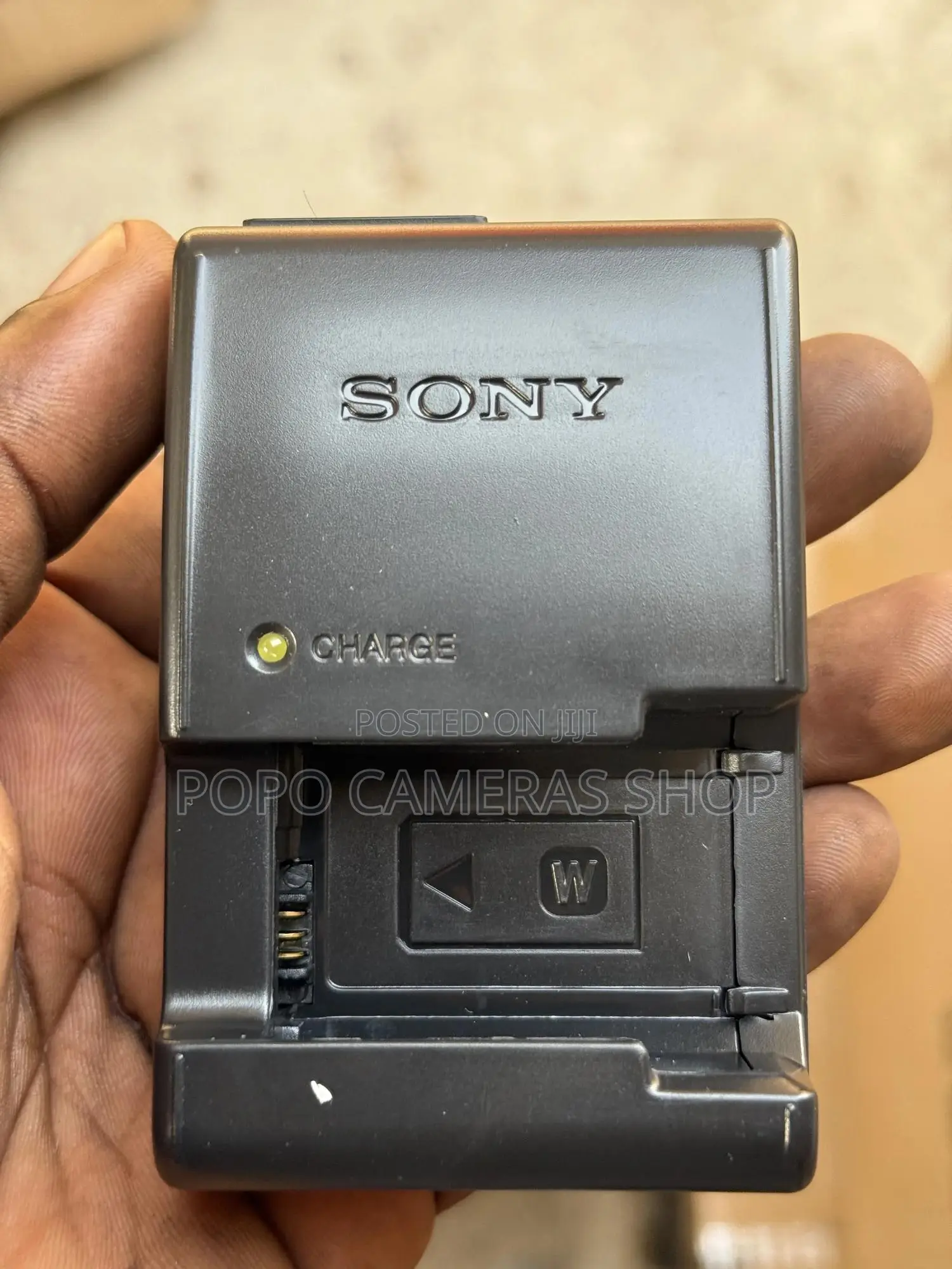 Sony NP-FW50 Charger