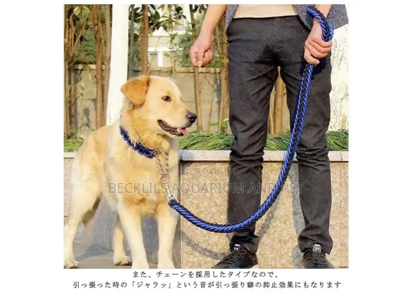 Collars With Leash for Bigger Dogs
