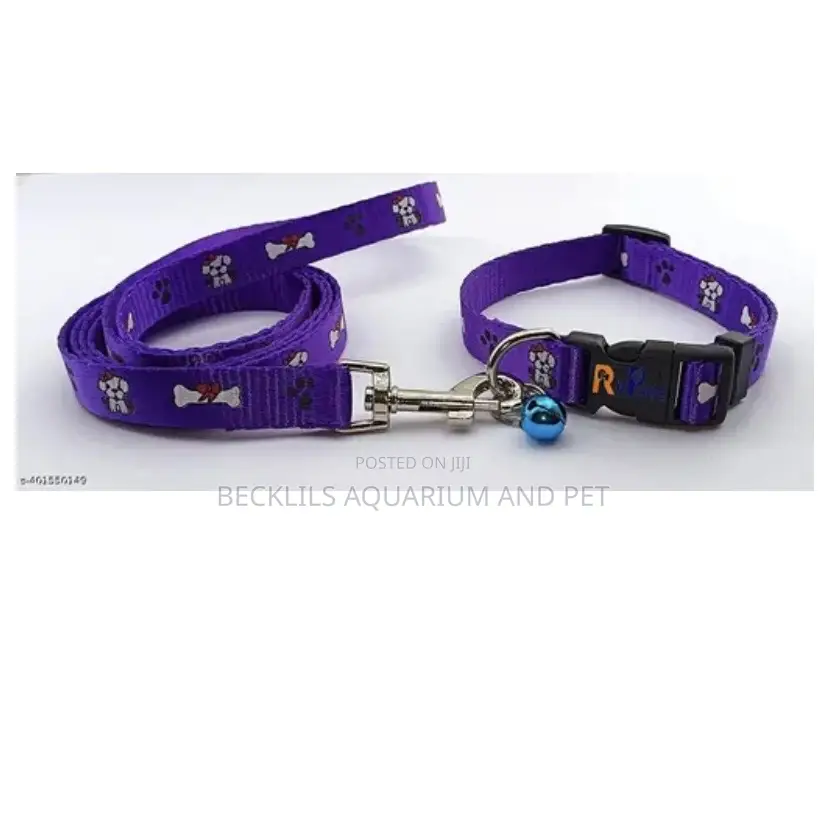 Adjustable Collar With Leash Set