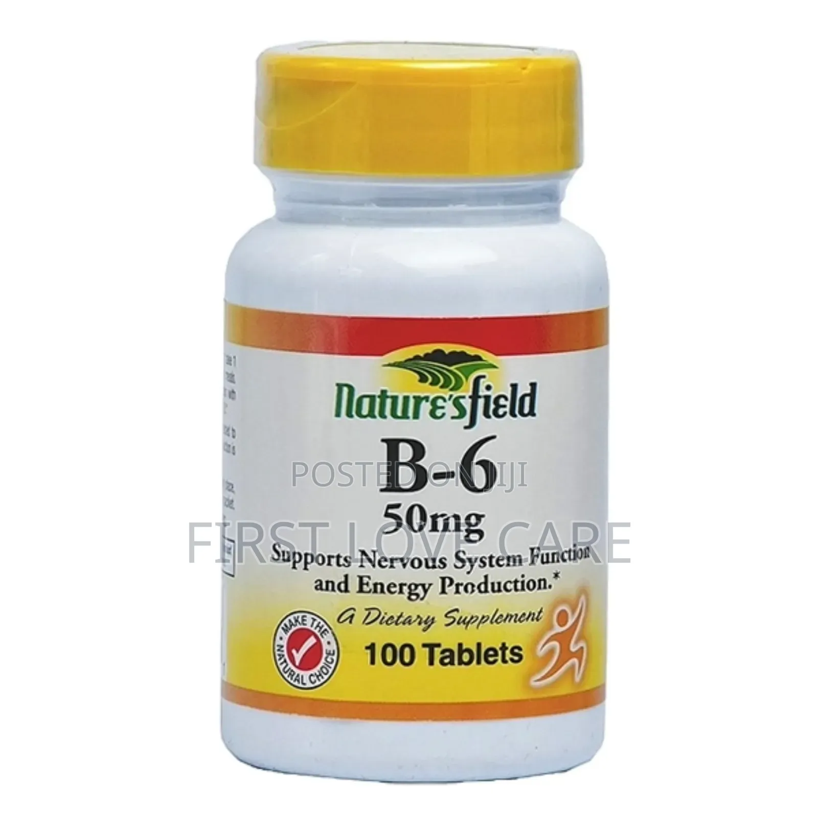 Nature's Field Vitamin B6