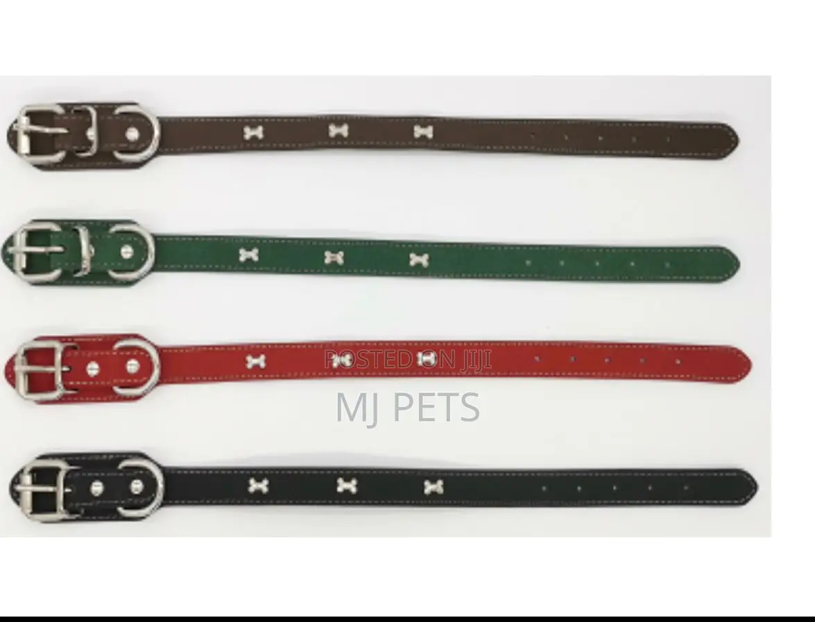 Leather Collar for Dogs