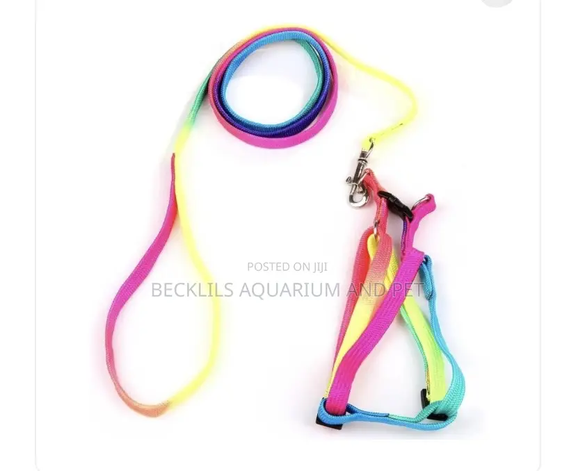 Rainbow Dog Harness With Leash for S/ M Dogs