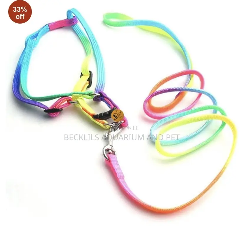 Rainbow Leash With Harness Available for Small Dogs