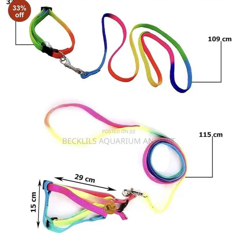 Rainbow Leash With Harness Available for Small Dogs