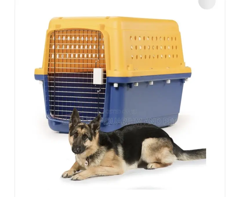 Large Portable Dog Create Available