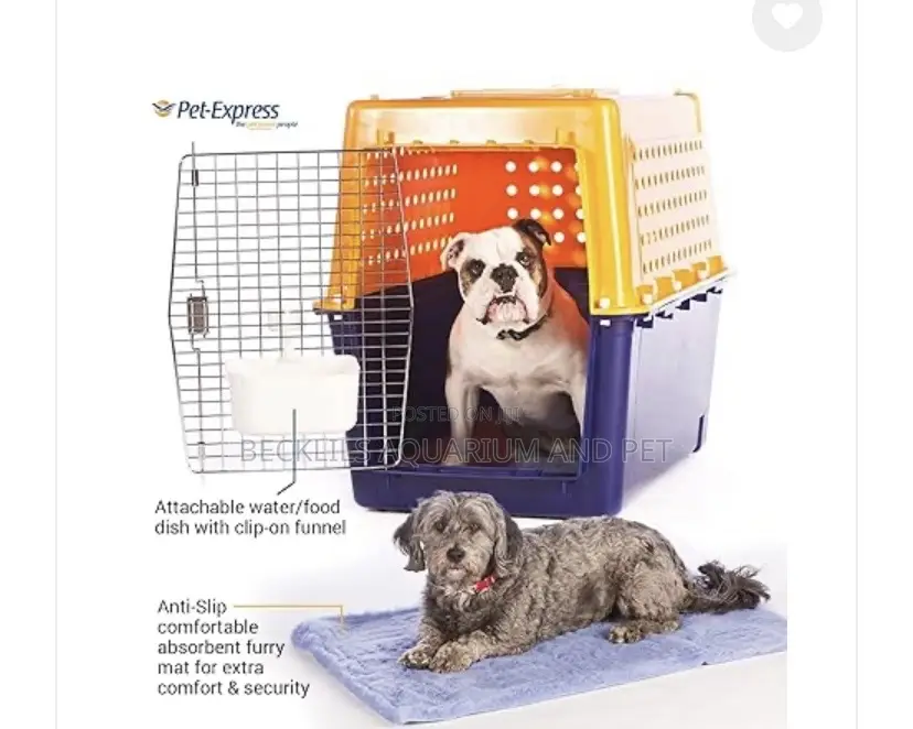 Large Portable Dog Create Available