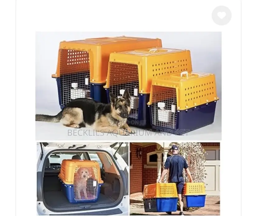 Large Portable Dog Create Available