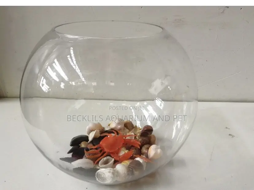 Round Fish Bowl With Fish