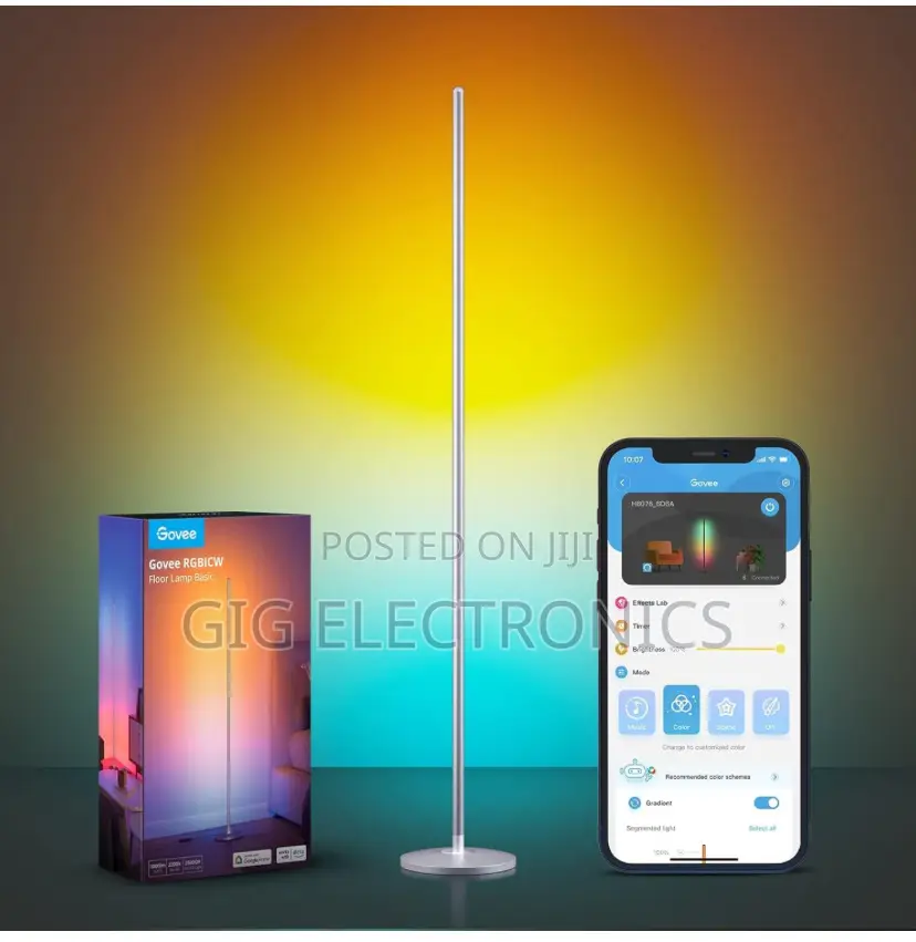 Govee RGBIC Floor Lamp Basic