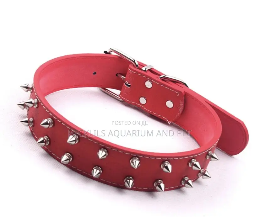 Adjustable Wide Leather Collar