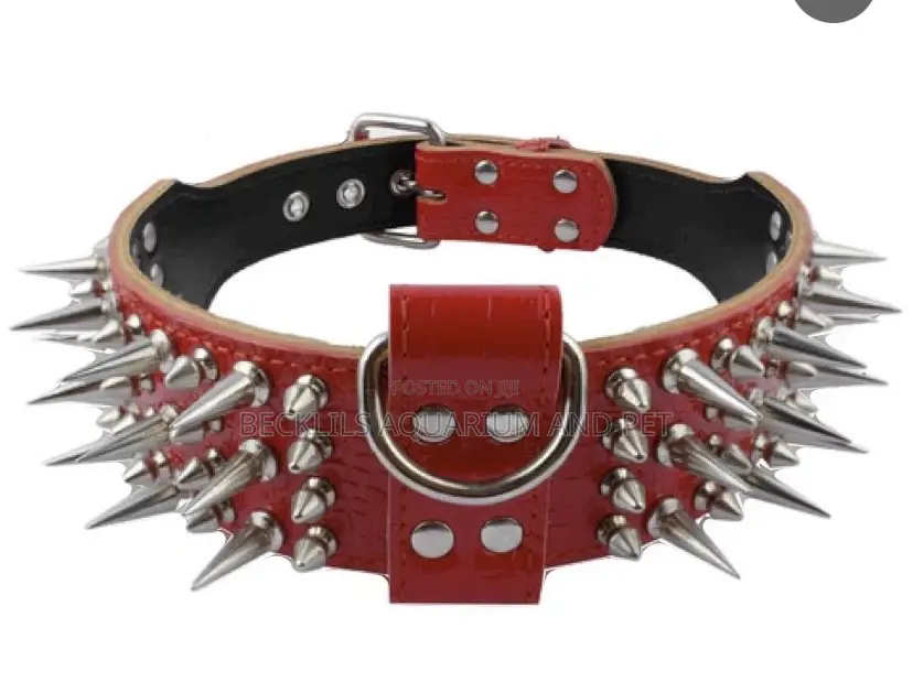 Adjustable Wide Leather Collar