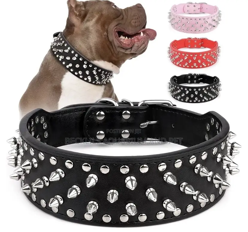 Adjustable Wide Leather Collar