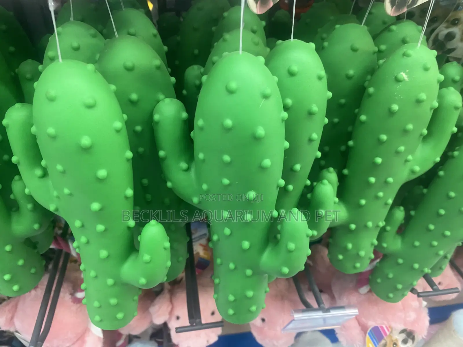Dog Play Toy