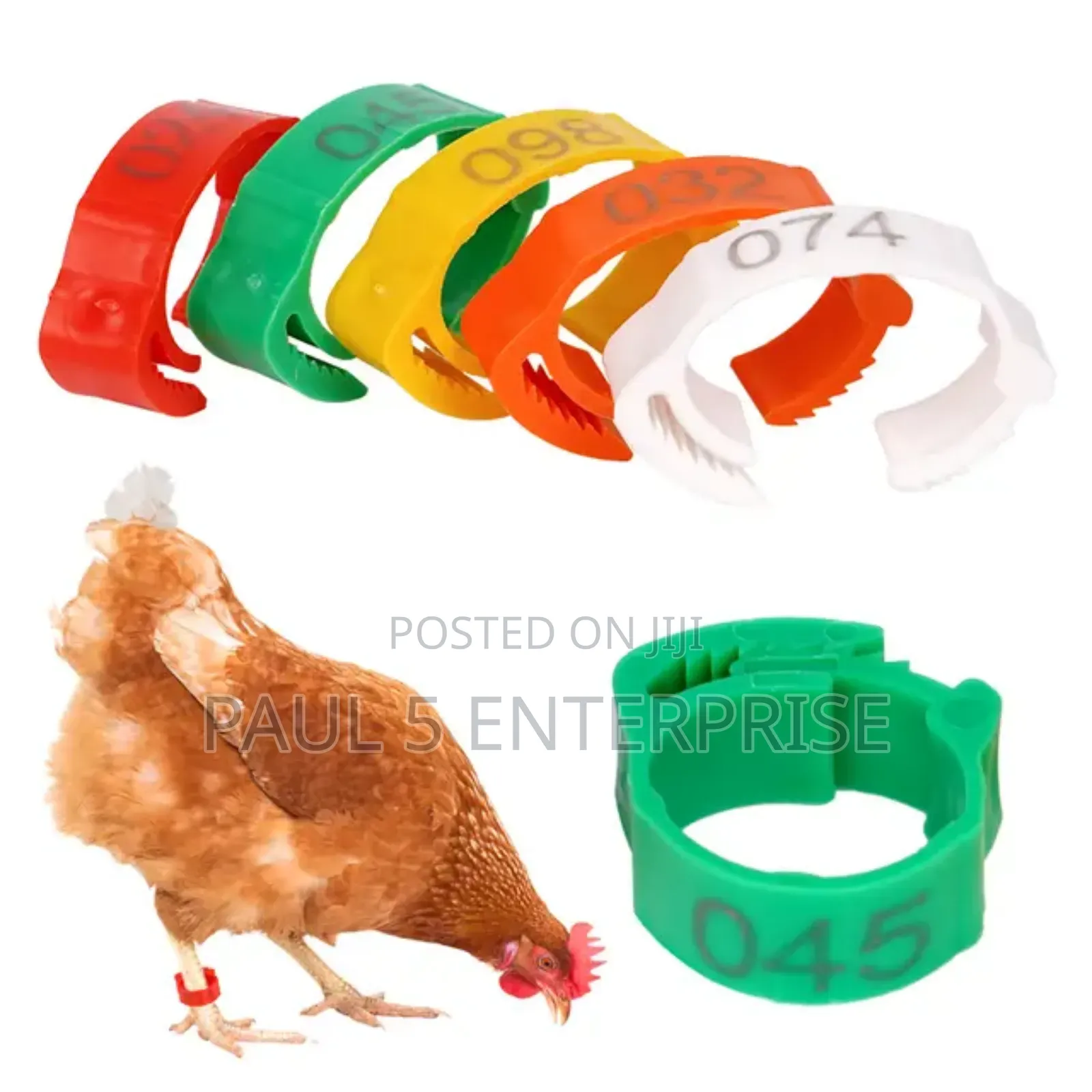 Chicken Foot Ring Wholesale and Retail