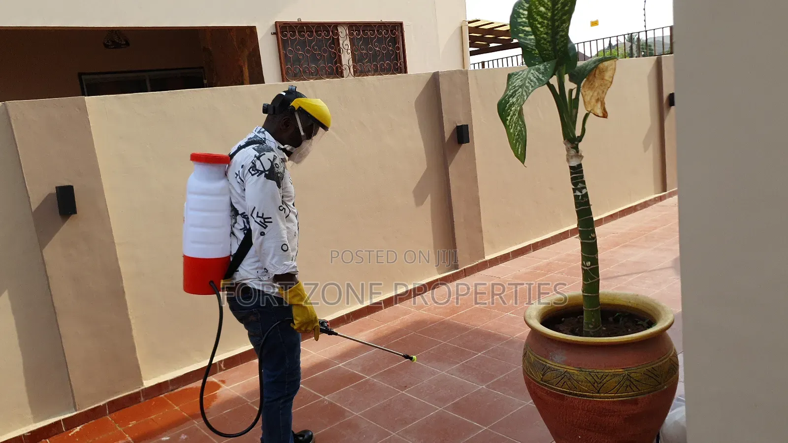 General Mosquitoes,Ants,Snakes Fumigation