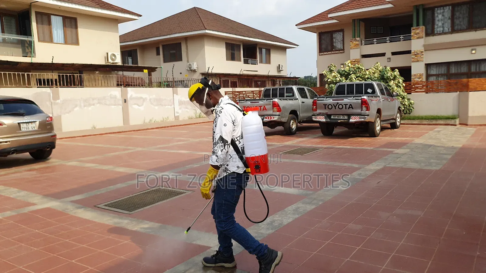Settled Fumigation on Insects,Reptiles and Bedbugs