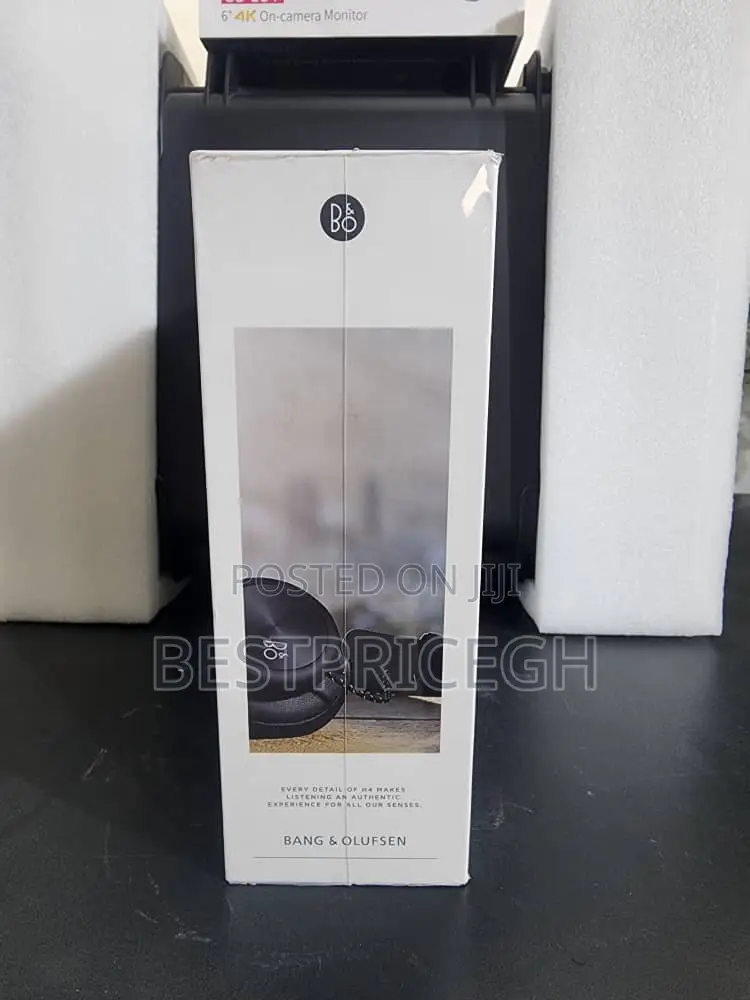 Bang Olufsen (BO ) Headphones