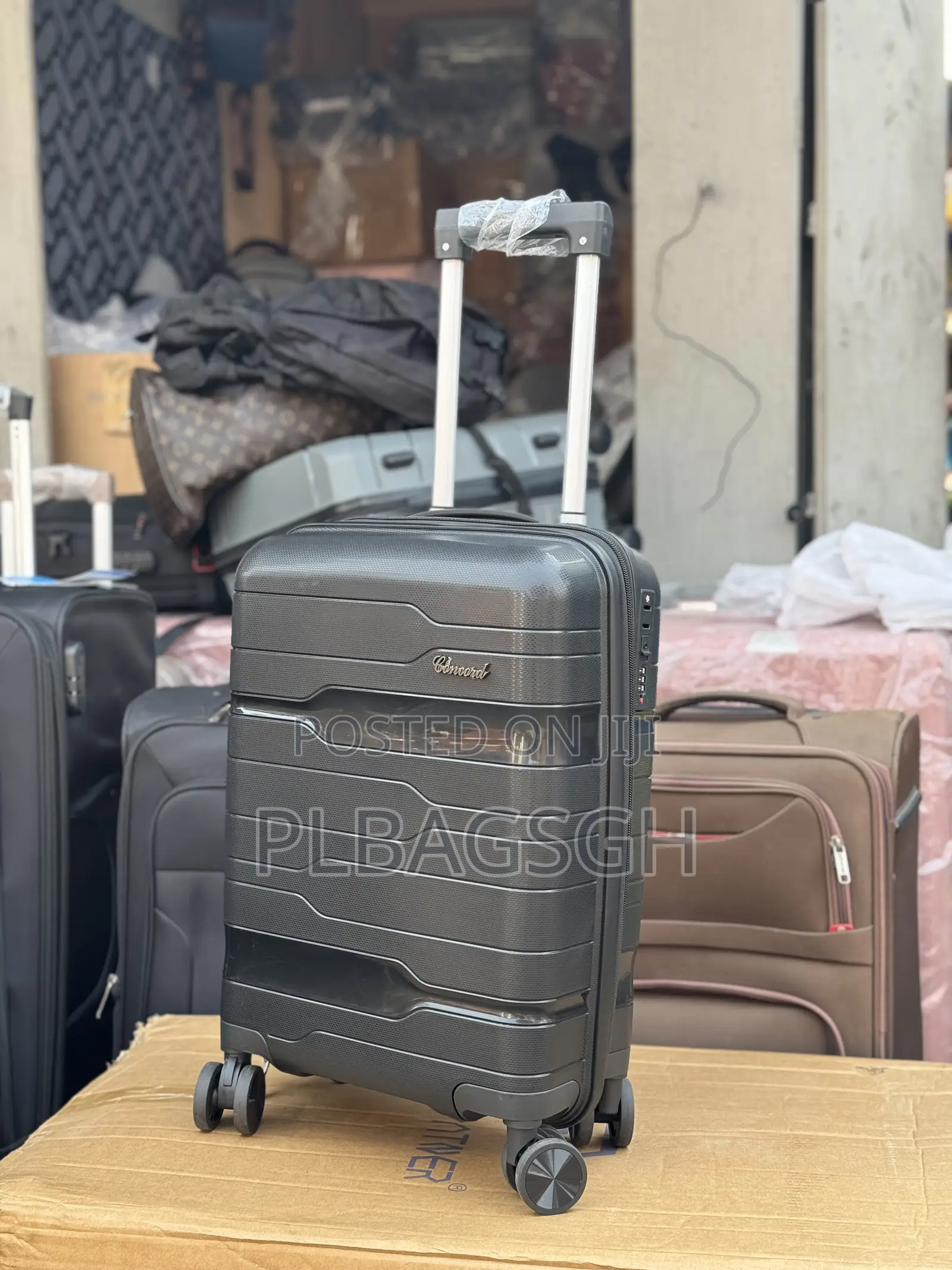 Small Size 19 Inches Trolley Traveling Bag at Plbagsgh