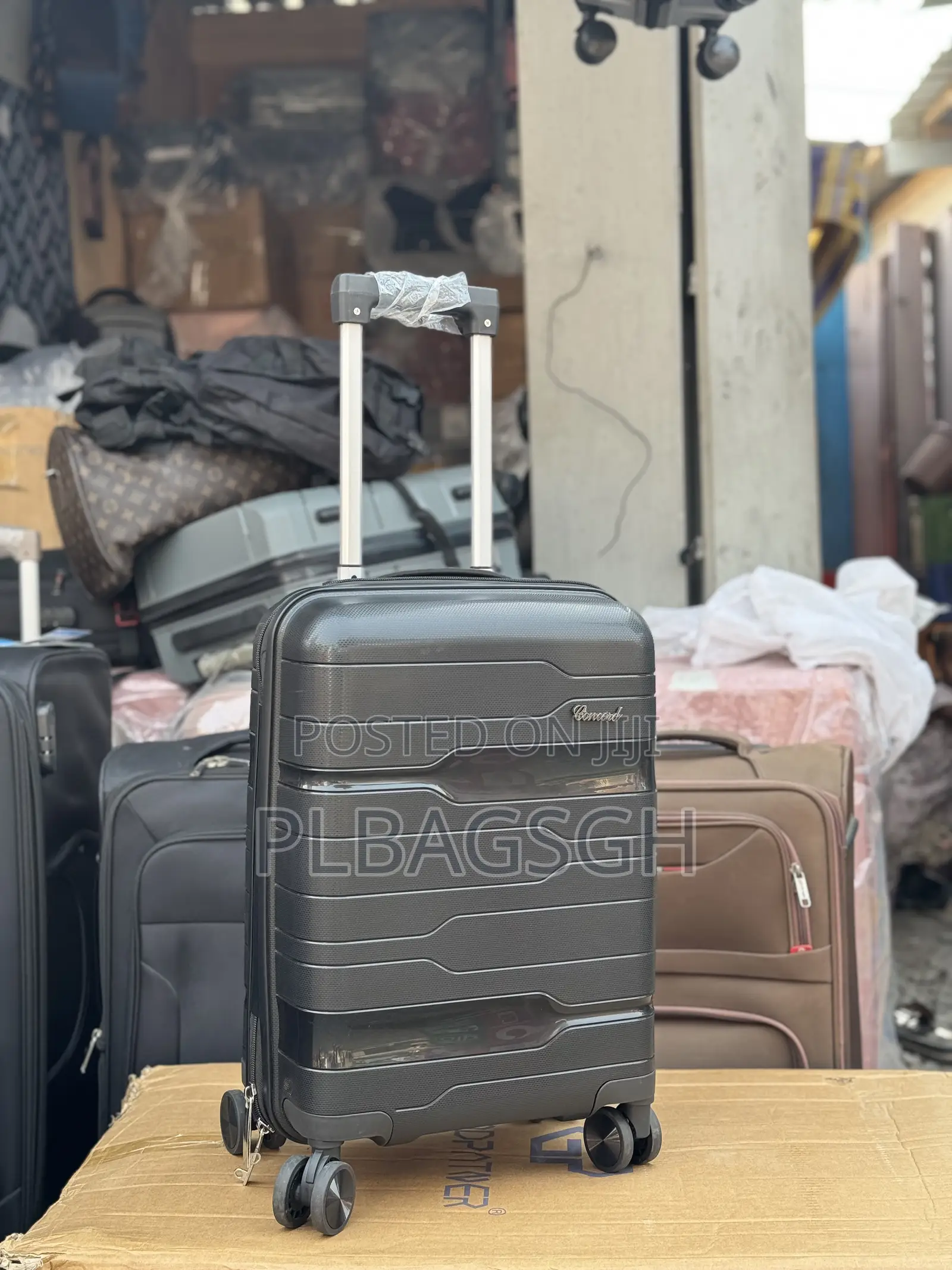 Small Size 19 Inches Trolley Traveling Bag at Plbagsgh