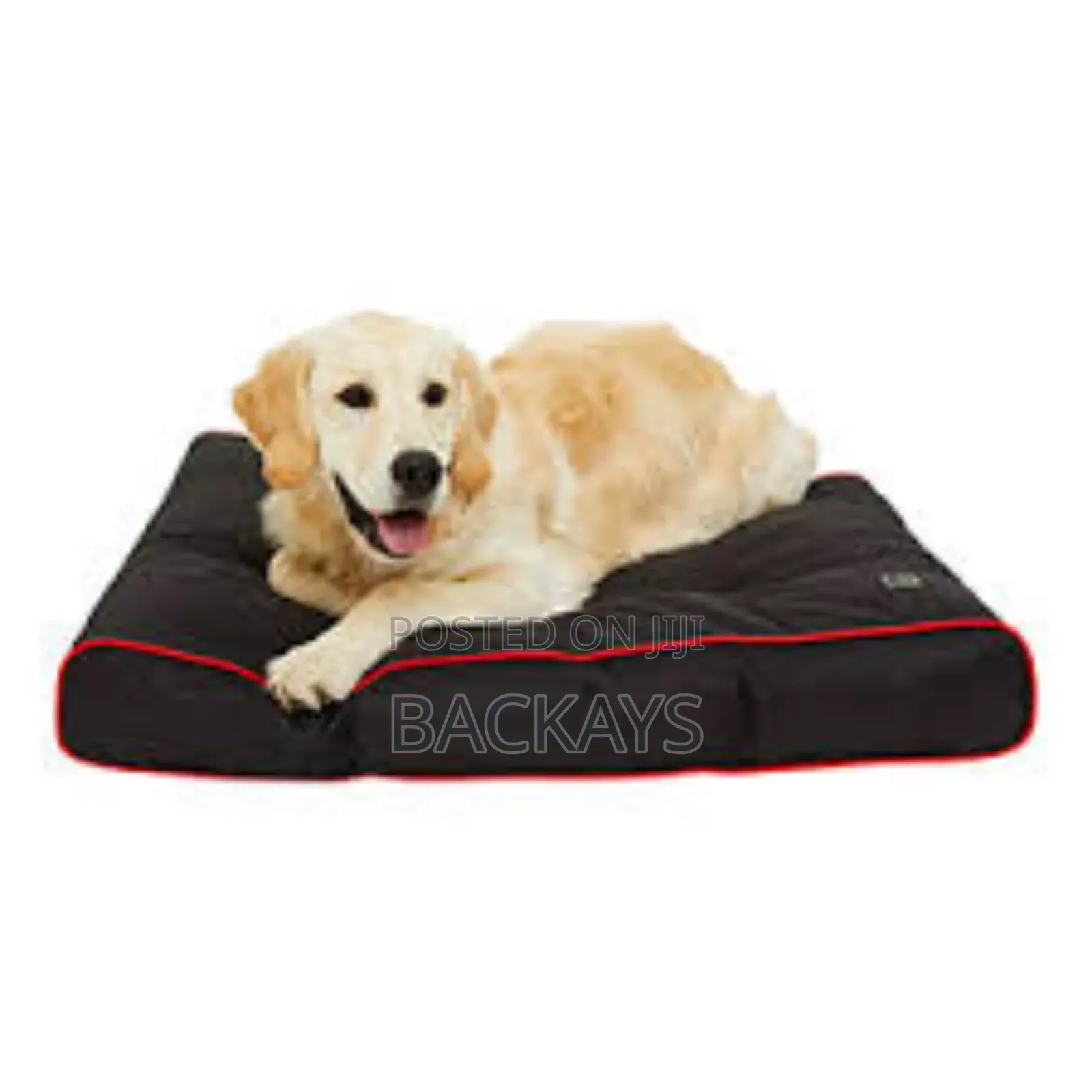 3 Peaks Padded Dog Mattress