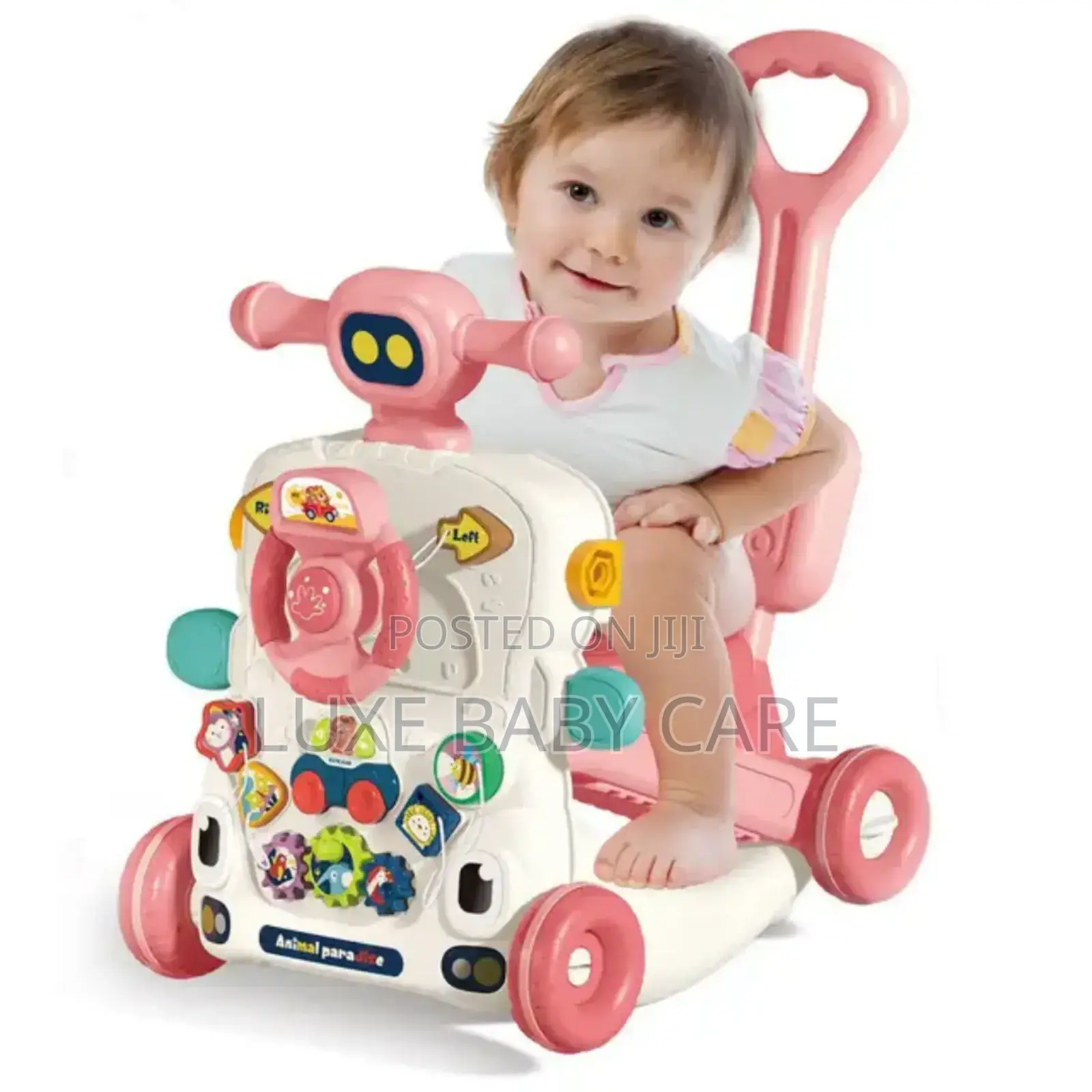 Multifunctional Activity Push Walker