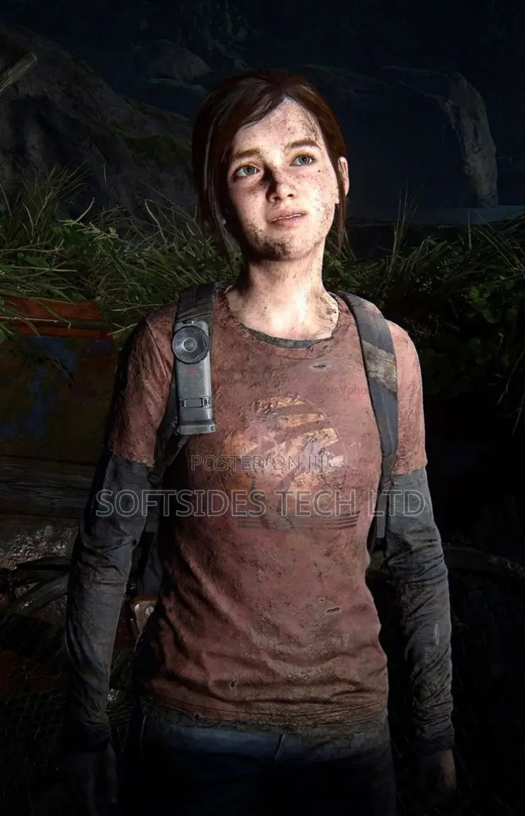 The Last of Us Video Game for Ps4 and Ps5 Installation