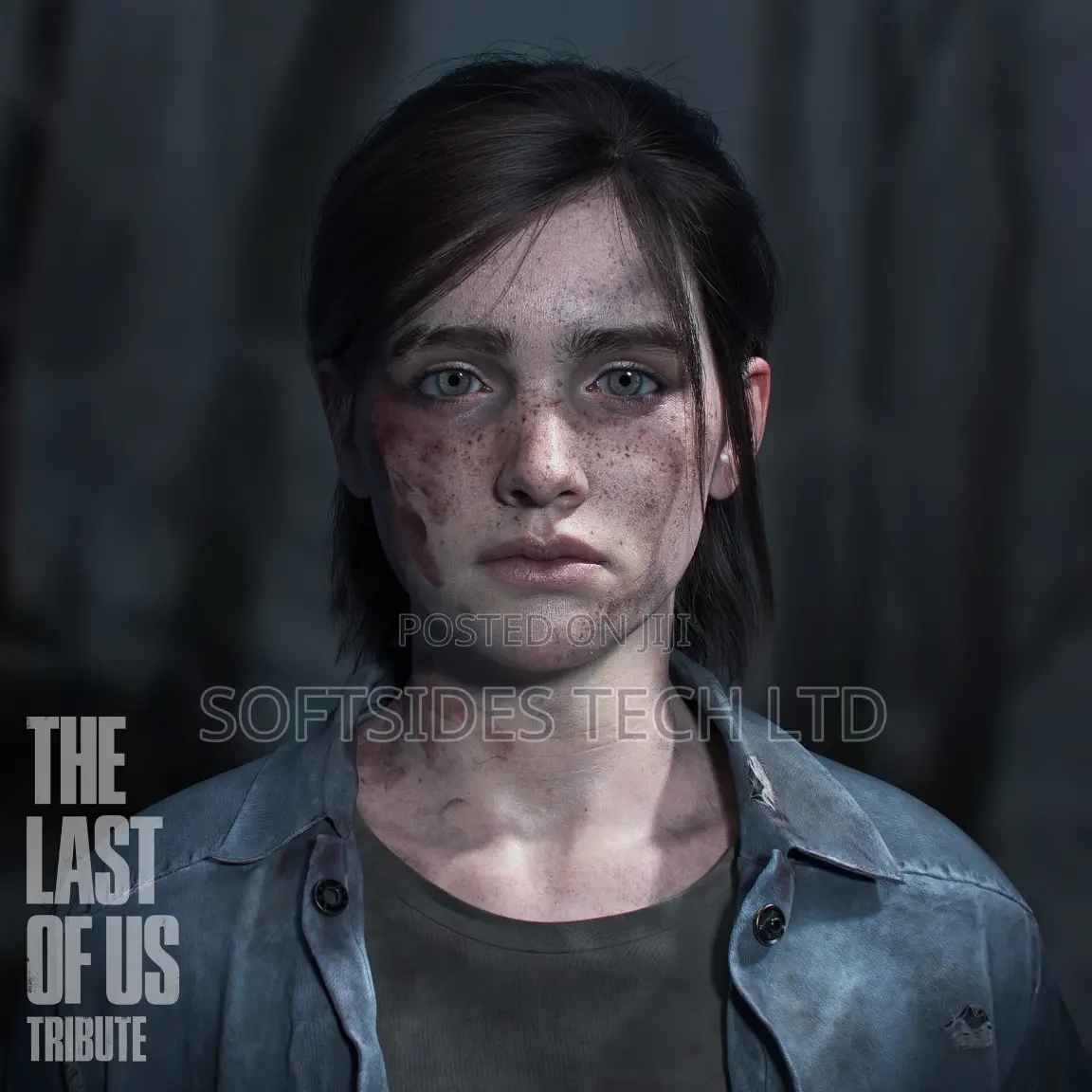 The Last of Us Video Game for Ps4 and Ps5 Installation
