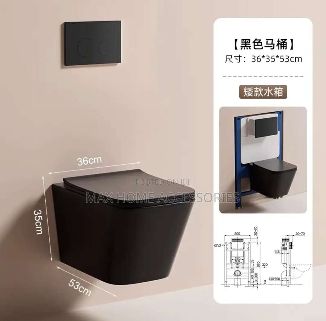 Concealed Black Wc