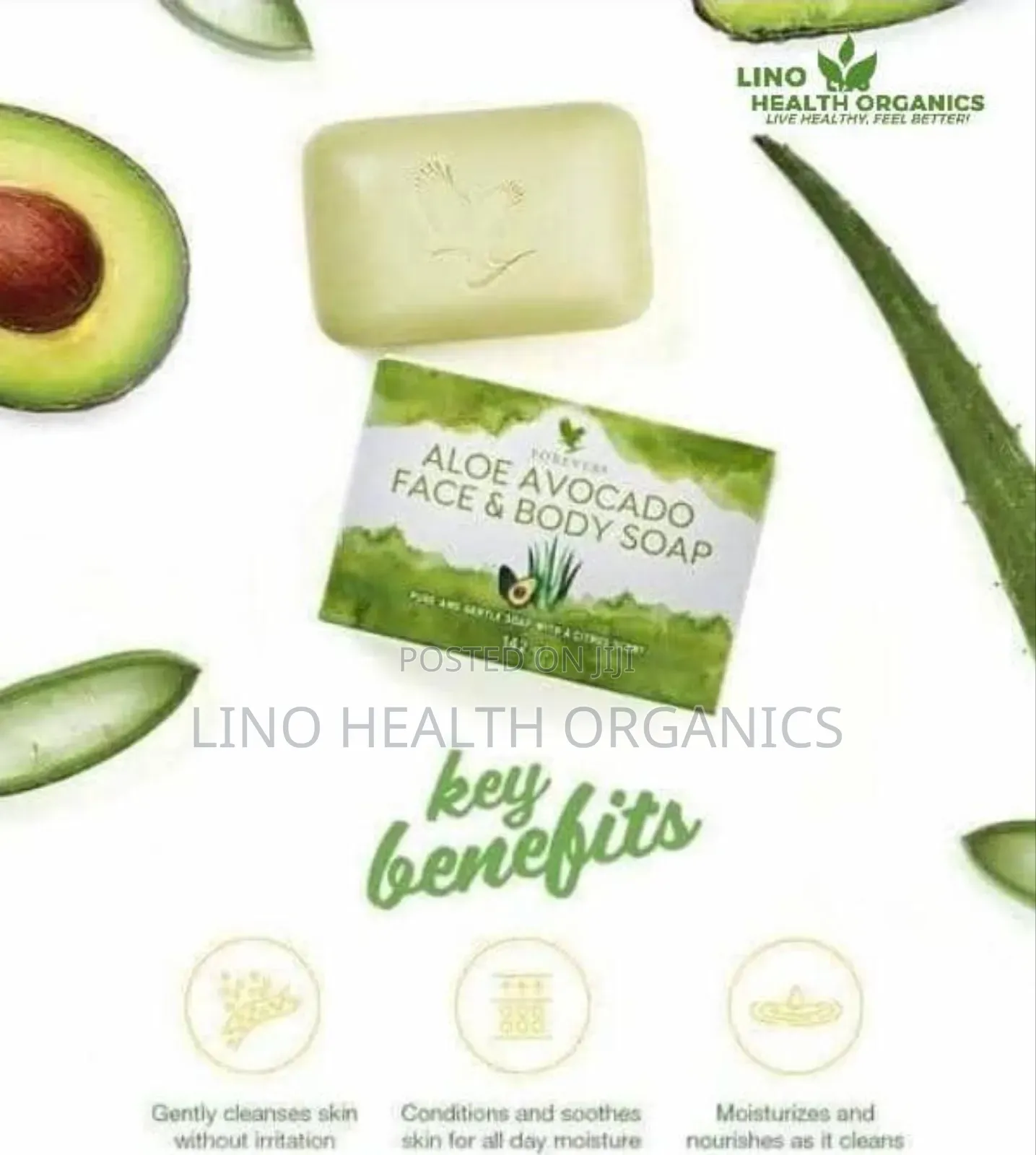 Aloe Avocado Soap | Aloe Vera Avocado Organic Soap
