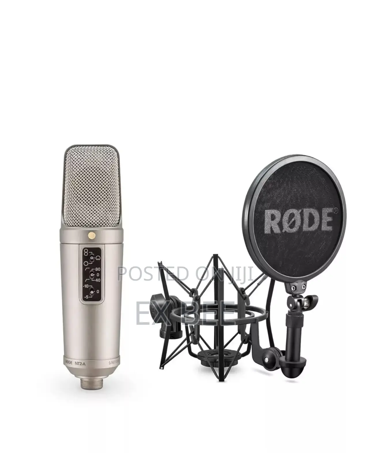 Rode Nt2-a Large-Diaphragm Multipattern Condenser Microphone