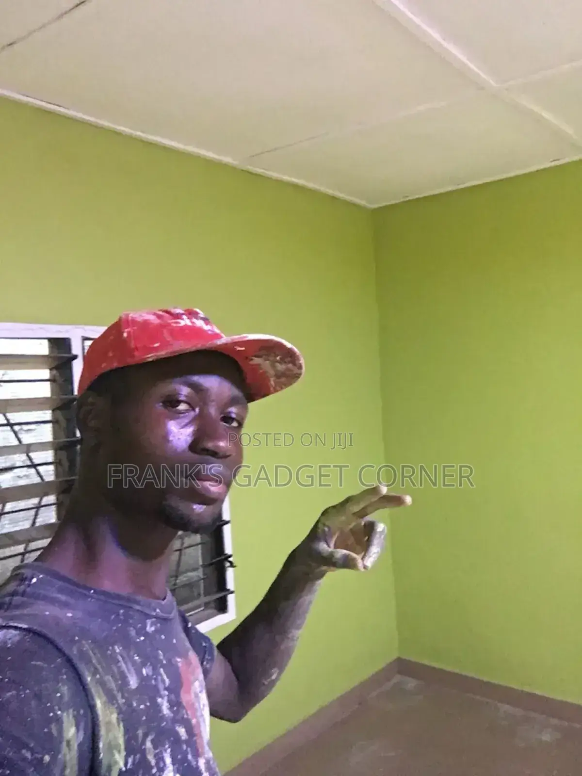 Professional Painter