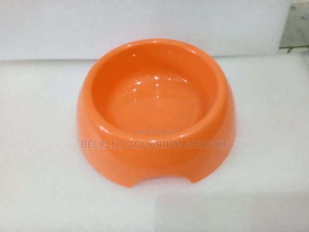 Plastic Blue Bowls for Dogs and Cat