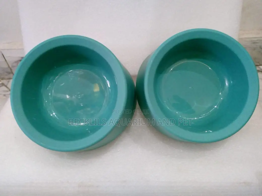 Plastic Blue Bowls for Dogs and Cat