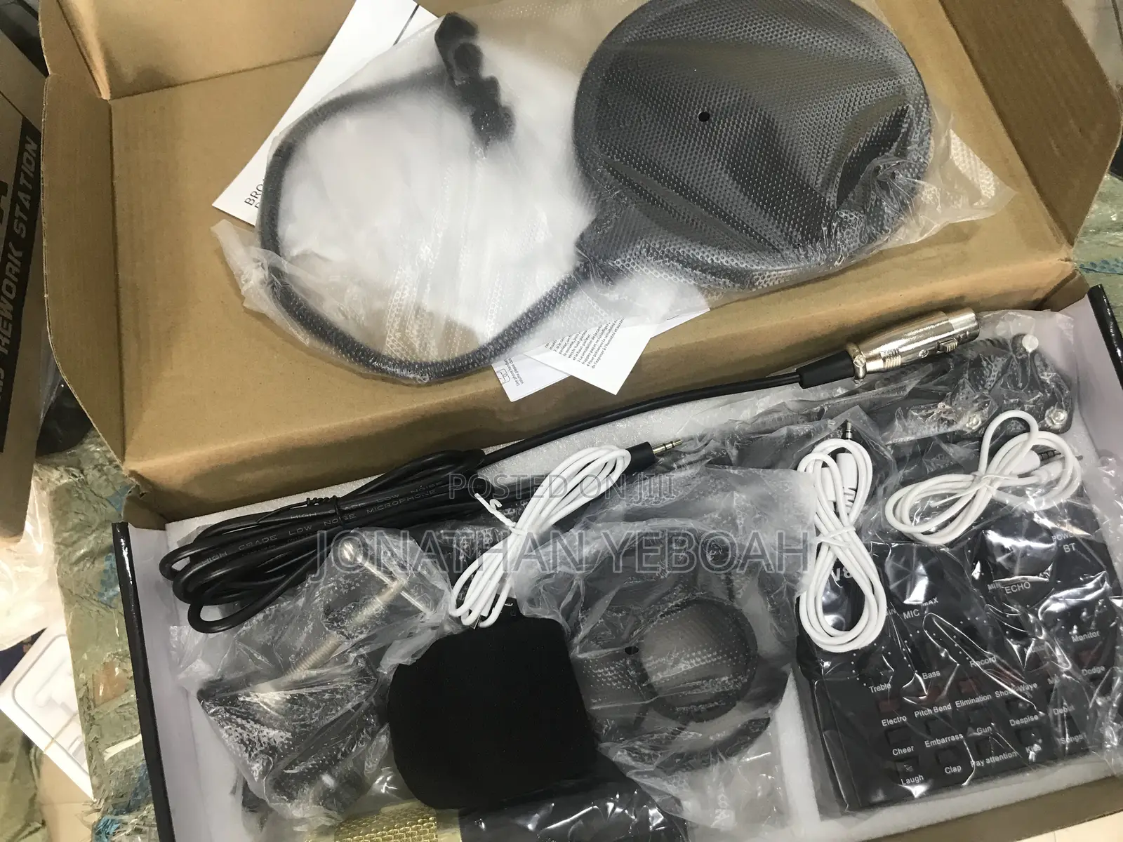 Professional Condenser Microphone
