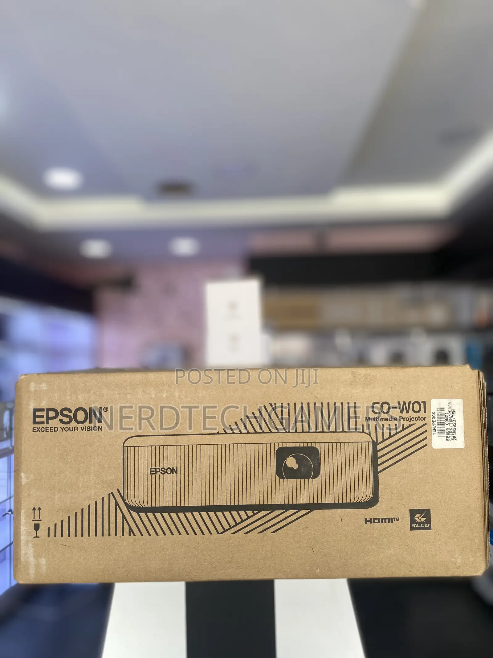 Epson Epiqvision Flex Co-W01 Portable Projector,