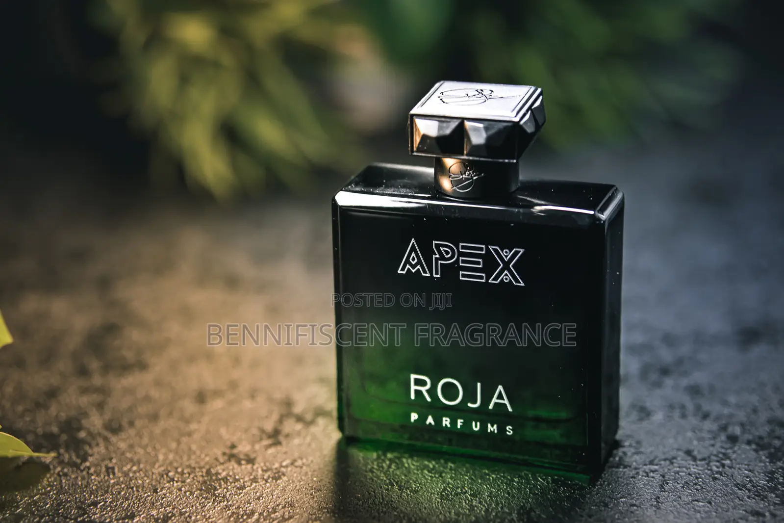 Roja Apex Dove Apex Cologne 100ml