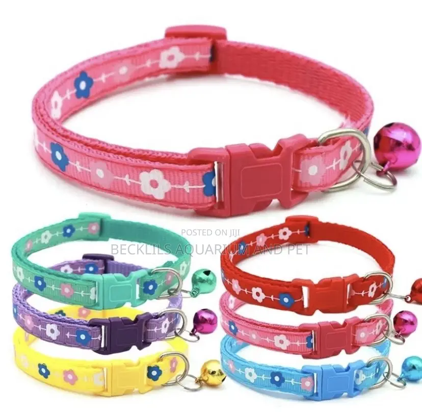 Portable Collars for Dogs N Cat