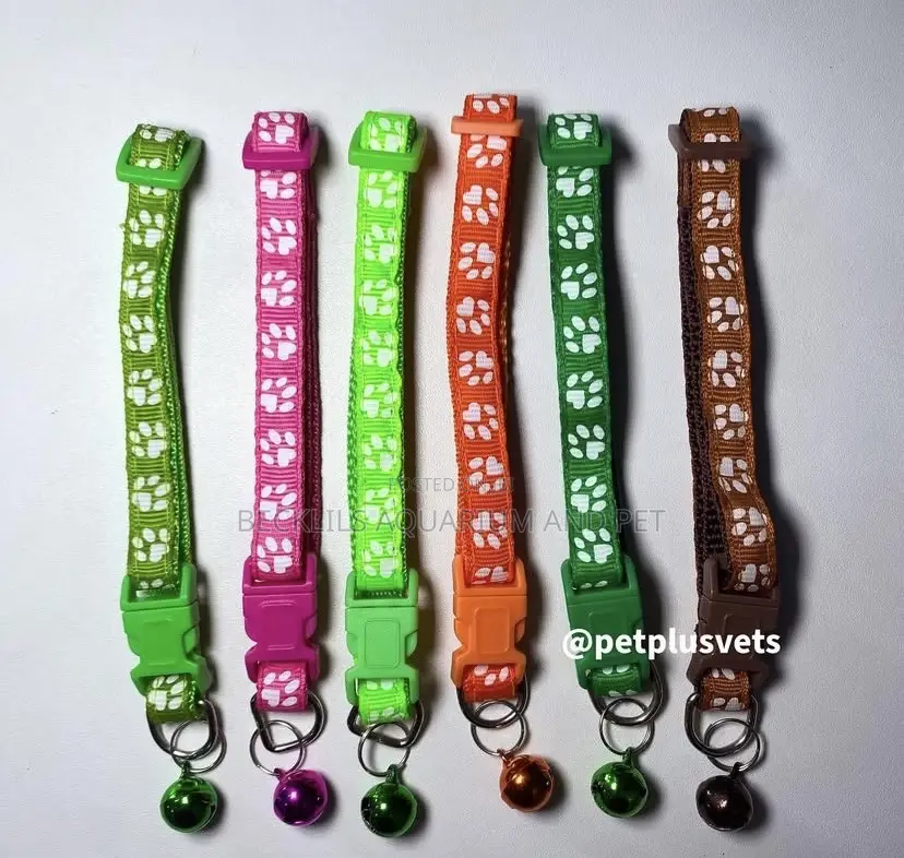 Portable Collars for Dogs N Cat